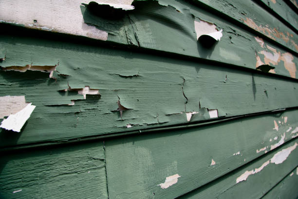 Best Demolition Debris Removal  in Holley, FL