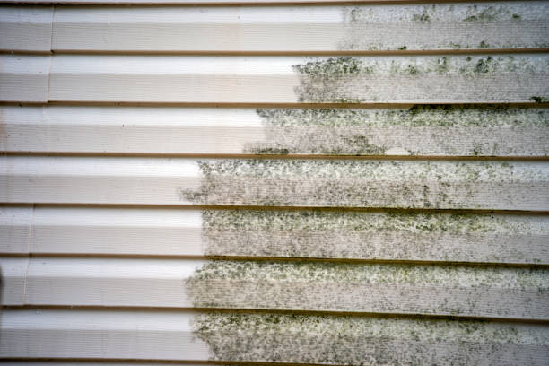 Best Furniture Removal  in Holley, FL