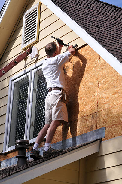 Best Shed Removal  in Holley, FL